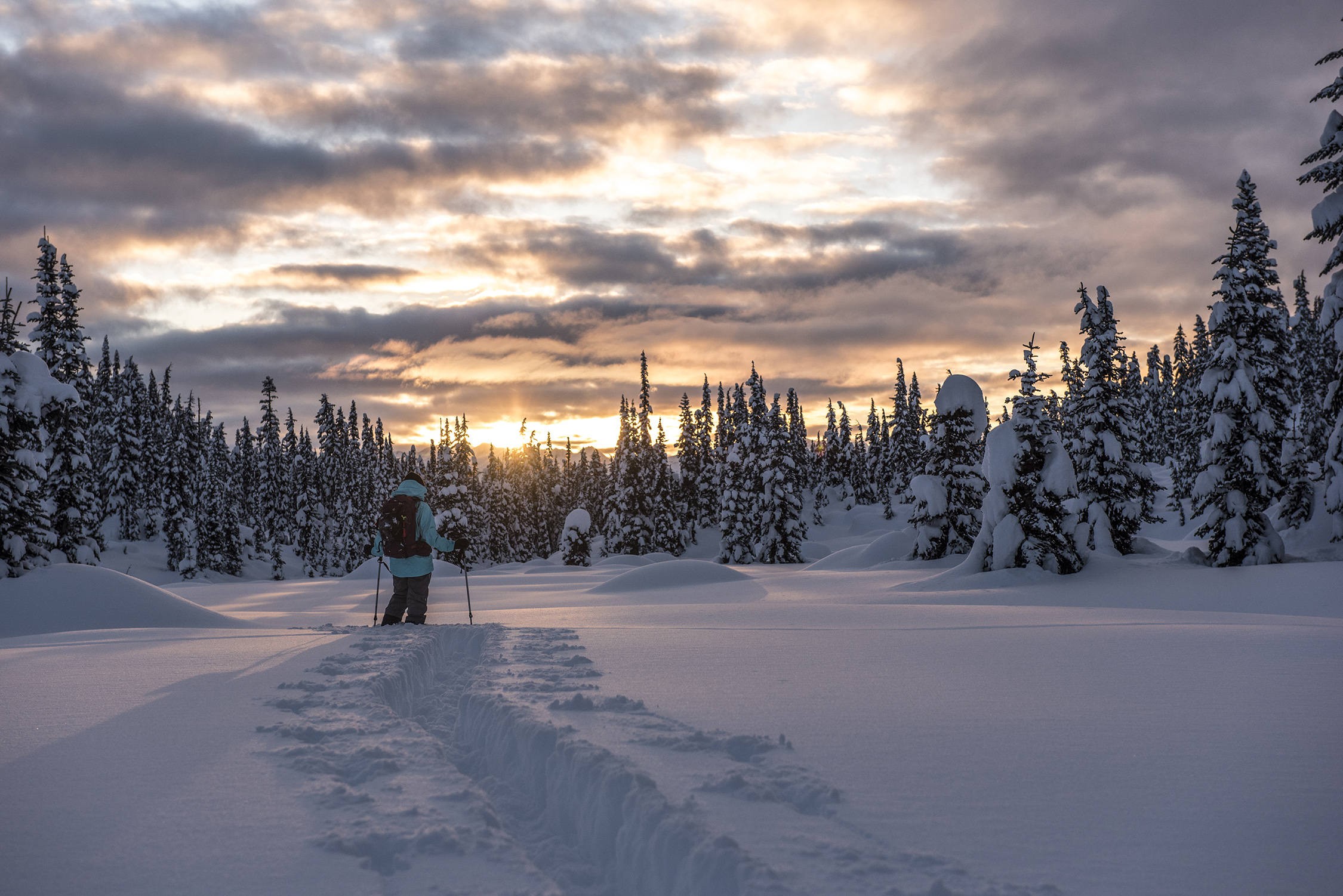 Backcountry photography camp